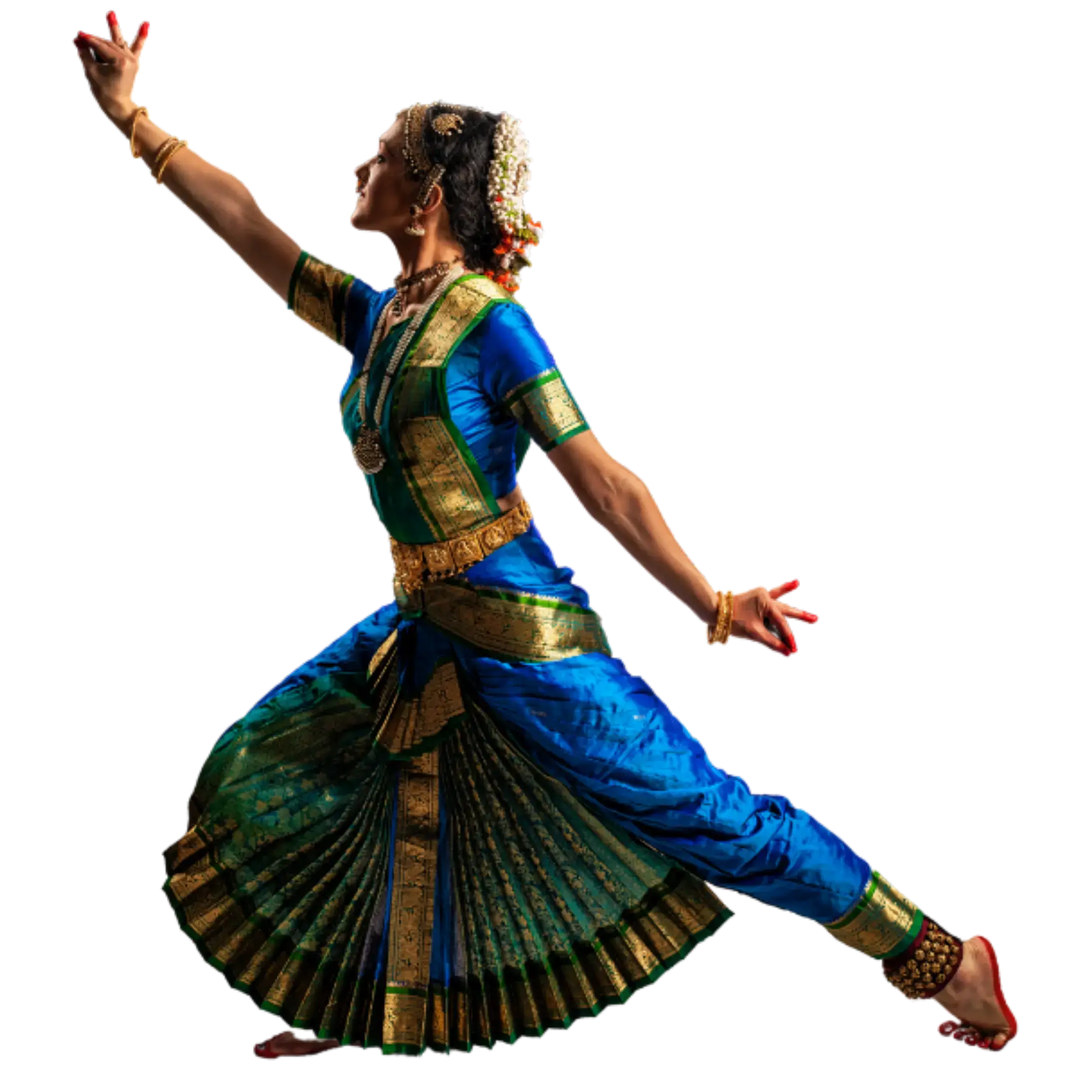 online bharatanatyam classes